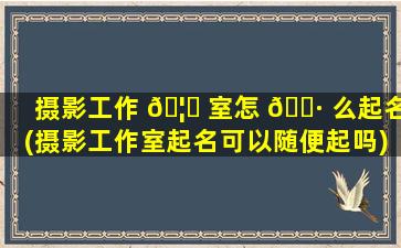 摄影工作 🦅 室怎 🕷 么起名(摄影工作室起名可以随便起吗)
